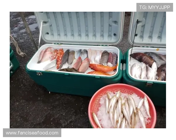 ku游九州体育全面解析:最新赛事资讯与玩法攻略全方位推荐 ku游九州体育全面解析:最新赛事资讯与玩法攻略全方位推荐