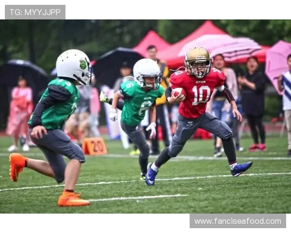 快鱼体育如何结合科技创新促进青少年体育技能的全面提升