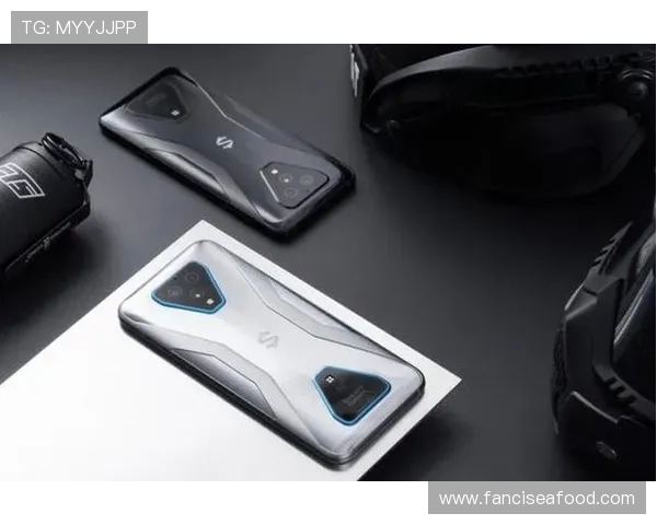 新利真人多样化游戏类型推荐满足不同玩家需求打造个性化娱乐体验提升整体游戏满意度