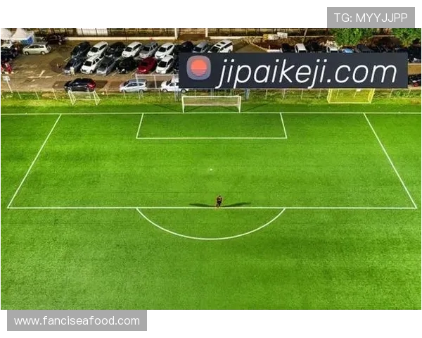 利用半岛官方体育登录入口实时观看体育赛事，体验高清直播与互动功能