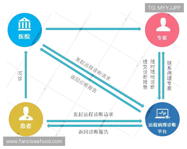 v体育入口官网常见问题解答及快速登录技巧提升您的使用体验